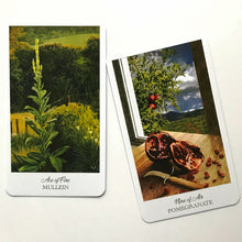 Load image into Gallery viewer, The Herbcrafters Tarot Cards
